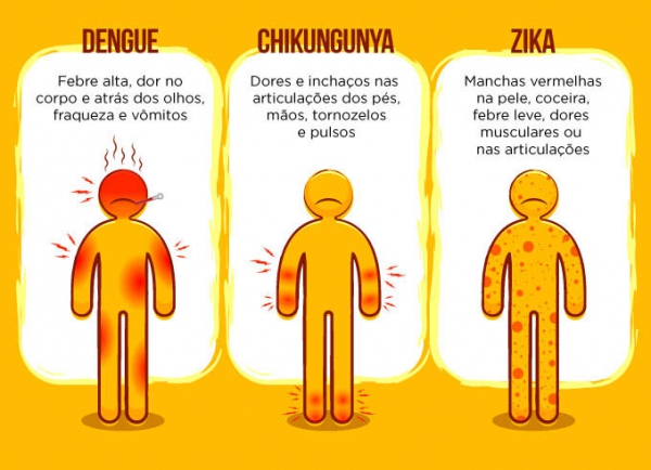 Casos de chikungunya devem voltar a subir neste ano